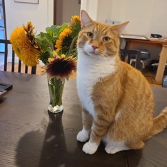 TechnoCrepe - Come Inside