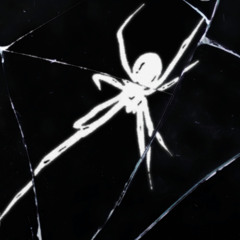 ragnatele