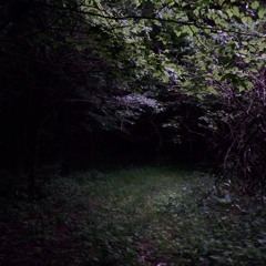 Respiro_A vida é uma Utopia :: Breath_Life is an Utopia