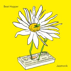 Beat Hopper (Soundcloud Edit)