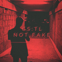 CS:TL - NOT FAKE