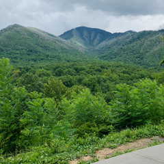 3am In Tennessee (Rough)