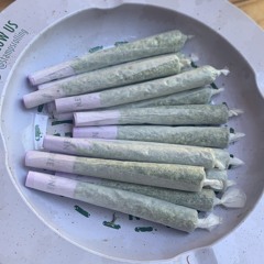 ZaNtos- RACKS