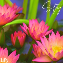 Stay