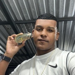 Ela Brotou no Palacio x Vulk Vulk (DJ mt do palacio )