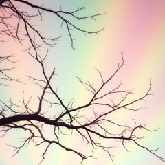 Love's Sweet Dreamscape