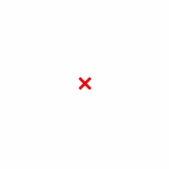 Wantin (feat. AMEER)
