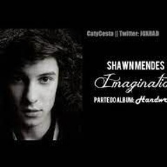 Imagination - Shawn Mendes