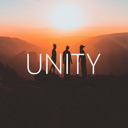 Alan Walker x Walkers - Unity (Wozinho Remix)