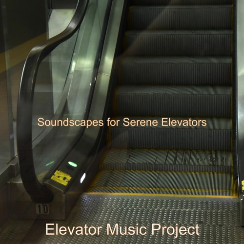 Stream Moods for Waiting in Elevators by Elevator Music Project ...