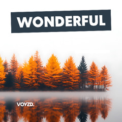 WONDERFUL