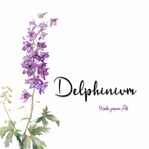 DELPHINIUM - Wade JeremiAh Podcast