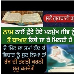 Rabb De Naam To Hine Hoye Jiv Nu Kithe Ja Ke Mildi Hai Joon  Bhai Simranjeet Singh Tohana