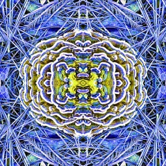 Who Are We Again?_Synchromute