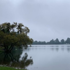 Leave Me Alone (New Order Cover)-  Ceso