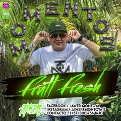 Momentos FRUTT FRESH 1.0 JAWER MONTOYA