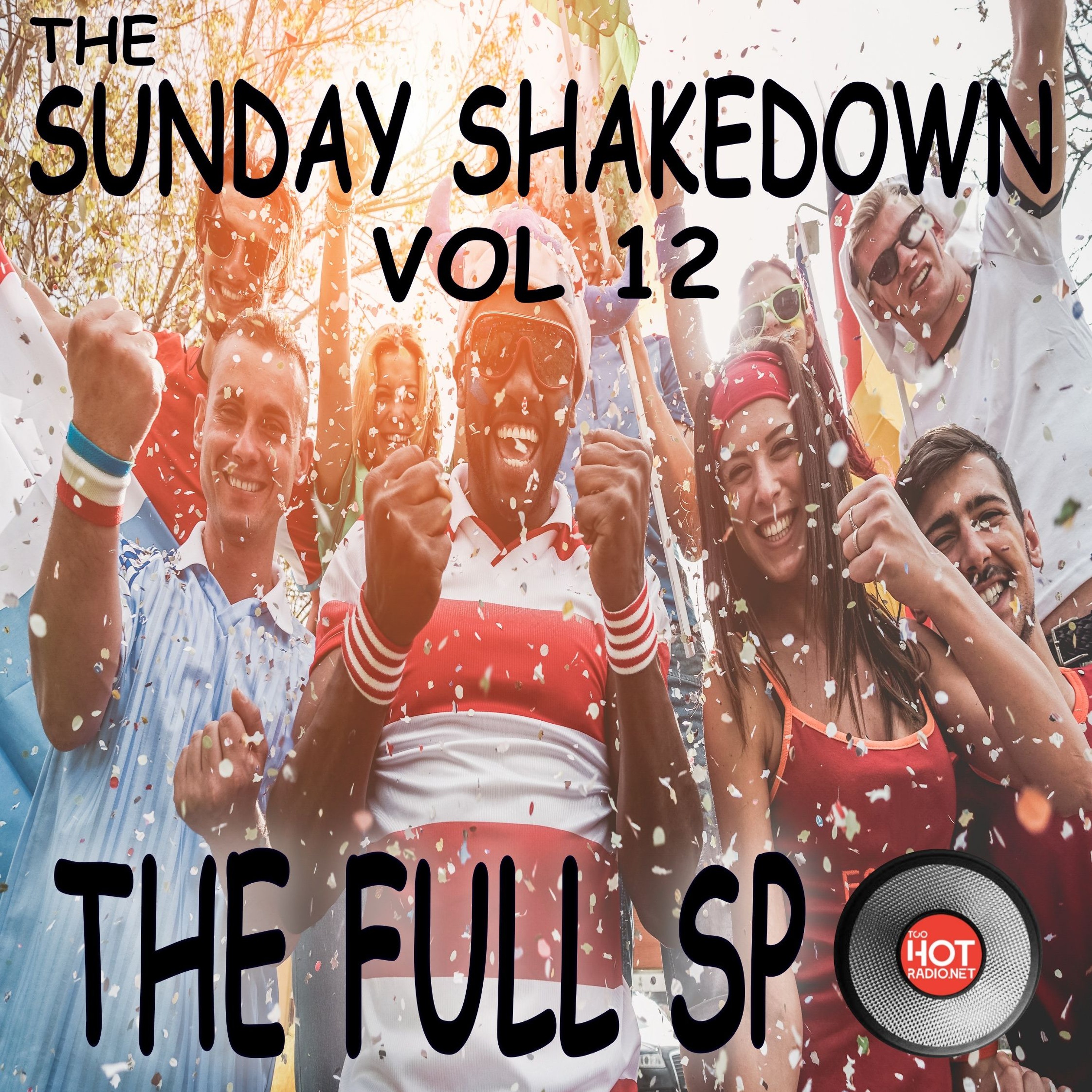 Sunday Shakedown VOL 12 episode artwork