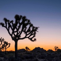 Listening [Daniel Nunnelee Cover]