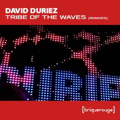2 - David Duriez - Tribe Of The Waves (John Fritz Remix)