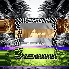 PARADISE BLVD