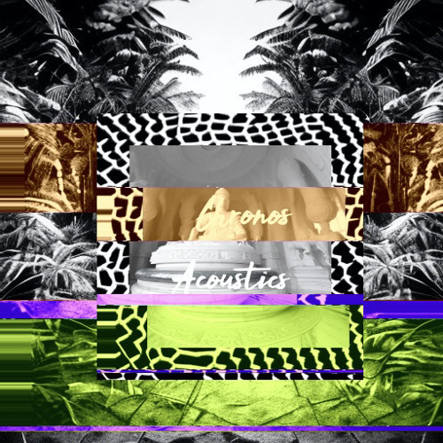 PARADISE BLVD