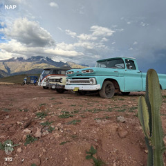 MDC.312 NAP