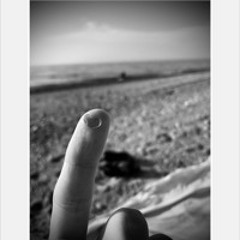 Menagerie (solo demo)