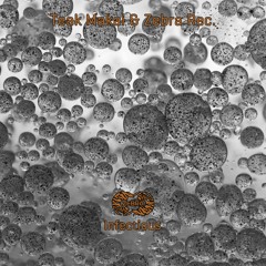 Teak Makai - Infectious EP • Zebra Rec. [ZBREP032] • 2021 (snippet)