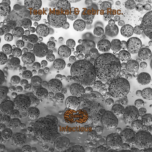 Teak Makai - Infectious EP • Zebra Rec. [ZBREP032] • 2021 (snippet)