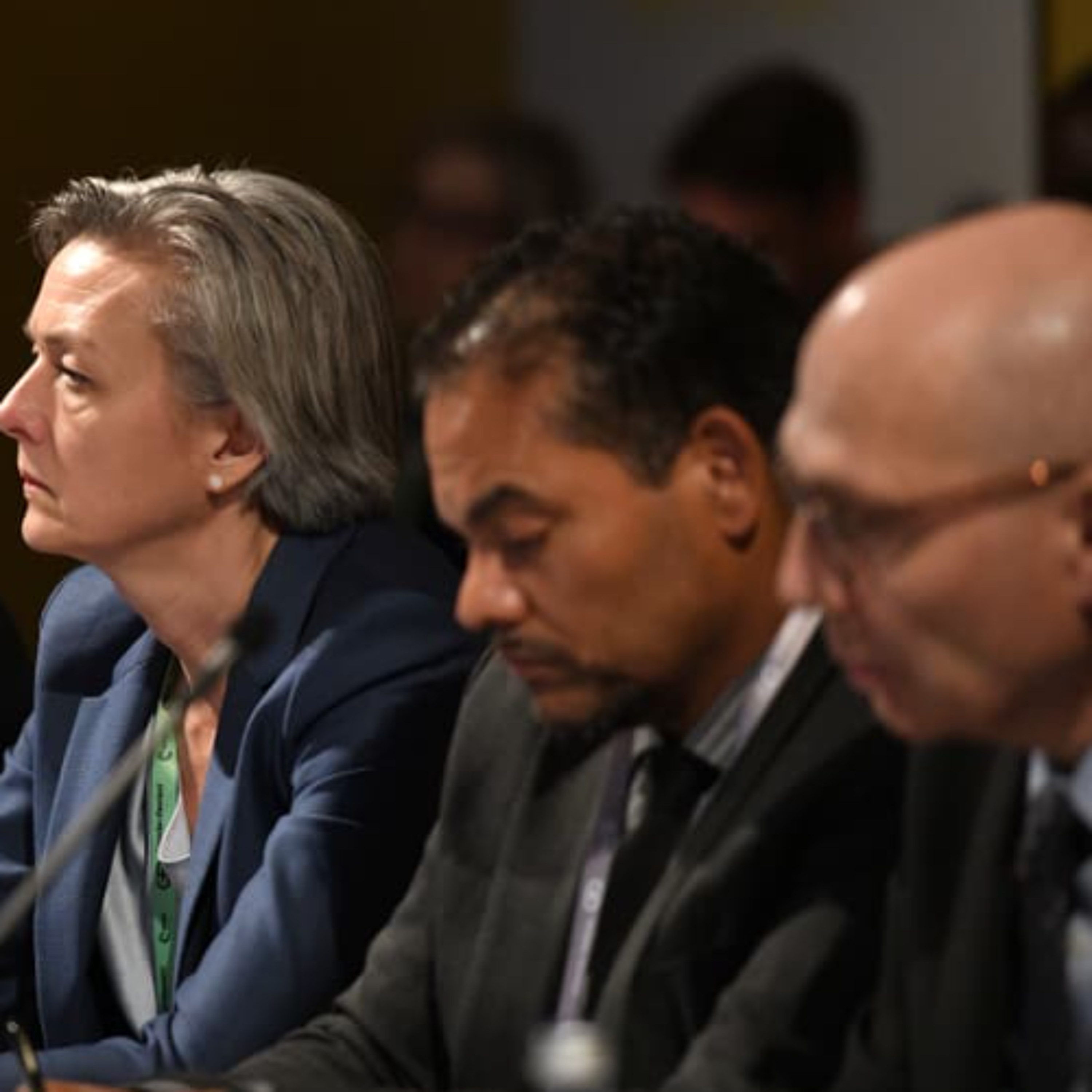 Deputy Minister of International Relations and Cooperation, Mr Botes .