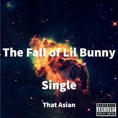 The Fall of Lil Bunny (prod. Sulker)