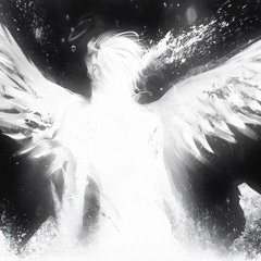 Se ci crescessero le ali + croccs