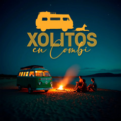 Xolitos en Combi Negra