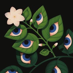 now they said im shy (chop).wav