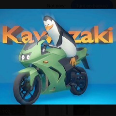 KAWASAKI - LUNADER X LIA$$