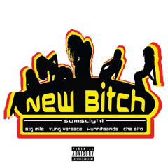 New Bitch (Feat. Big Mile, Hunnit Bands, & Che Sito)