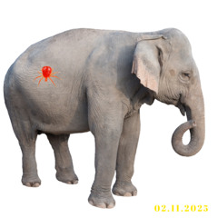 2025-11-02 20 So n Trinitatis