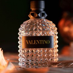 Valentino Warrior