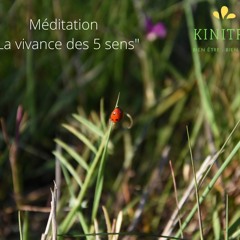 Méditation 1 🌿 La Vivance Des 5 Sens