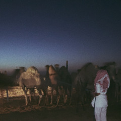 ‎⁨برقعك يا لطيف الروح غير البراقع (صوت)⁩