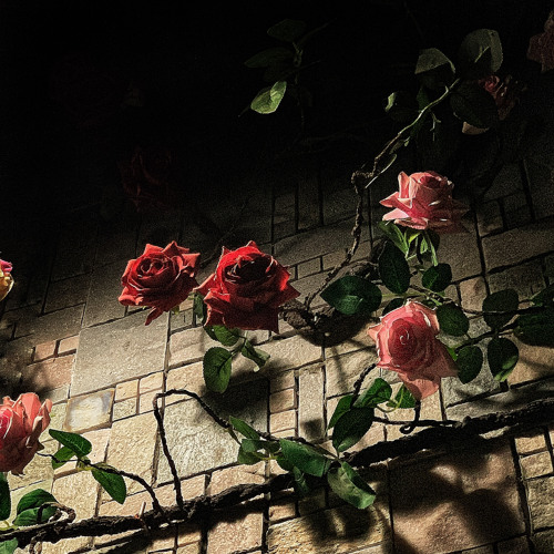 a co nhieu noi co don demo