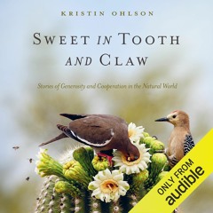 Sweet in Tooth and Claw by Kristin Ohlson, Narated by Kristin Ohlson (Chapter 1)