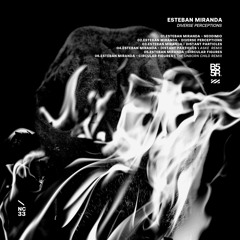 B55R033 < ESTEBAN MIRANDA - DIVERSE PERSEPTIONS < REMIXES BY ASKE AND THE UNBORN CHILD < Preview