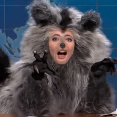 Bizarre Files - Flat Earth, Meth Deposit, and Raccoons (12/8/25)