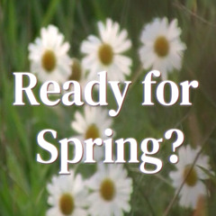Ready for Spring? | Tence Mix