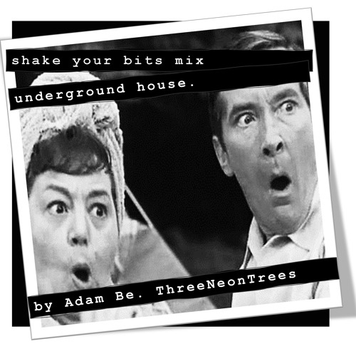shake your bits mix - underground house
