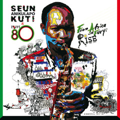 Seun Kuti & Egypt 80 - African Soldier