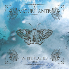 Premiere: Miguel Ante - White Flashes [Mystic Nature]