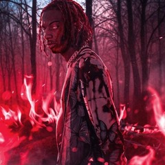 Playboi Carti-FireArm OG (Ft Offset x Lil Uzi Vert)