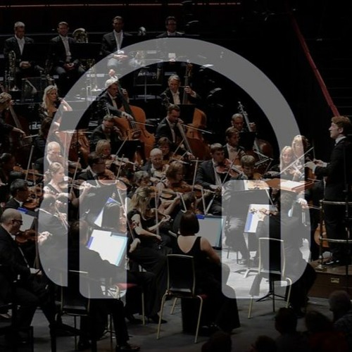 Psychedelic 0rchestra